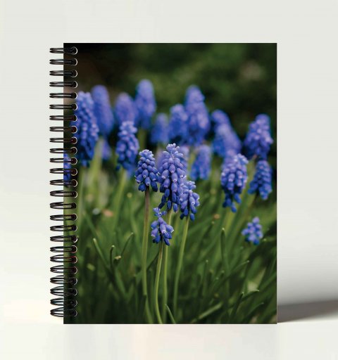 Caderno Universitário Escolar 1 Matéria / 100 Folhas